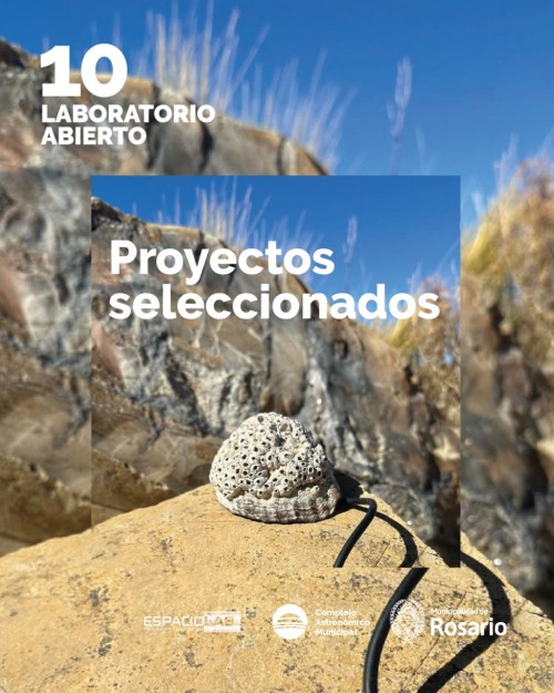 Proyectos seleccionados Laboratorio Abierto 2025